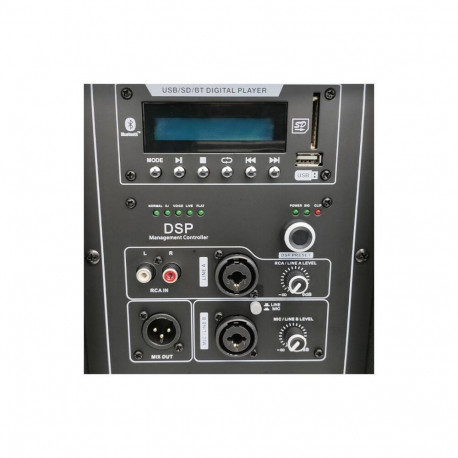 DNA SPX15 DSP Active Loudspeaker 15"