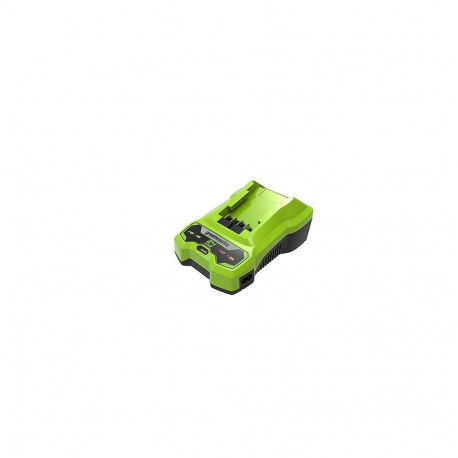 24V 2A Greenworks G24C laadija - 2932407