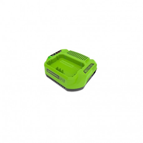 60V 2A Greenworks laadija G60UC - 2932007