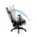 Diablo X-HORN 2.0. Black and black gaming chair