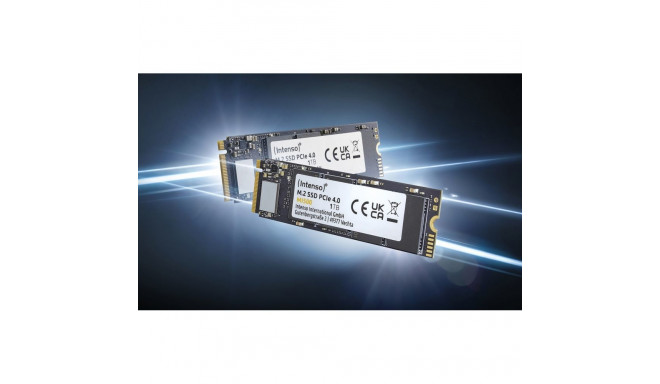 Intenso M.2 SSD MI500 PCIe 1TB