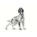 ROYAL CANIN Koer Hepatic VHN - kuiv koeratoit - 7kg