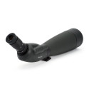 Celestron TrailSeeker 100-45 kraadi vaatetoru 67x BaK-4 must