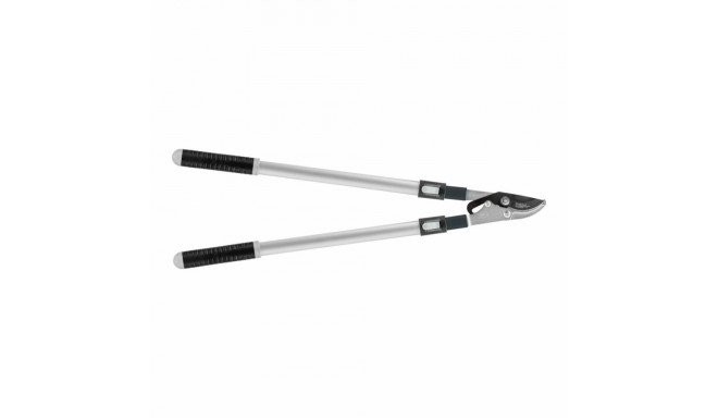 C.BASIC TELESCOPIC SCISSOR PRUNING SHEARS