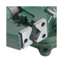 AWTOOLS AW24295 bench vices