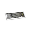 Ducky Outlaw 65 klaviatuur universaalne USB hõbedane