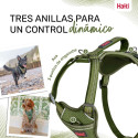 Dog Harness Company of Animals Green XS 20-32 cm