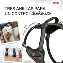Dog Harness Company of Animals Grey L 42-65 cm