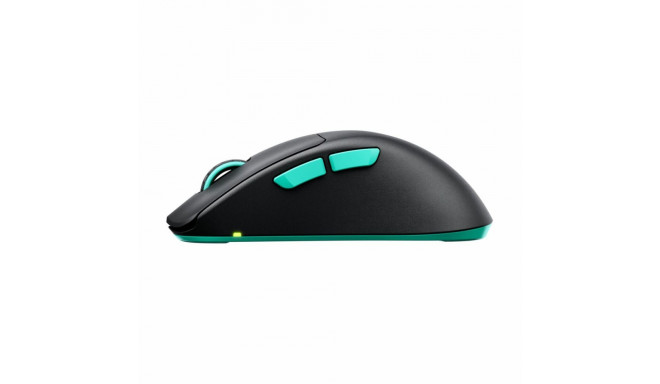 Wireless Mouse Cherry M64