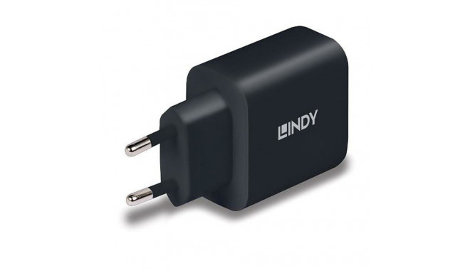 Seinalaadija LINDY 73426 Must 65 W