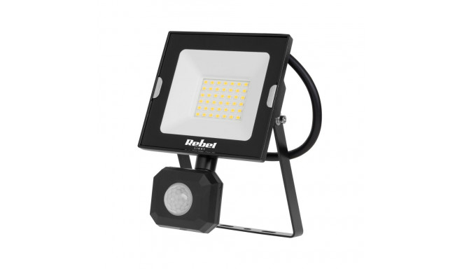 reflektor LED 30W liikumis- ja hämarussensoriga, 4000K, 230V