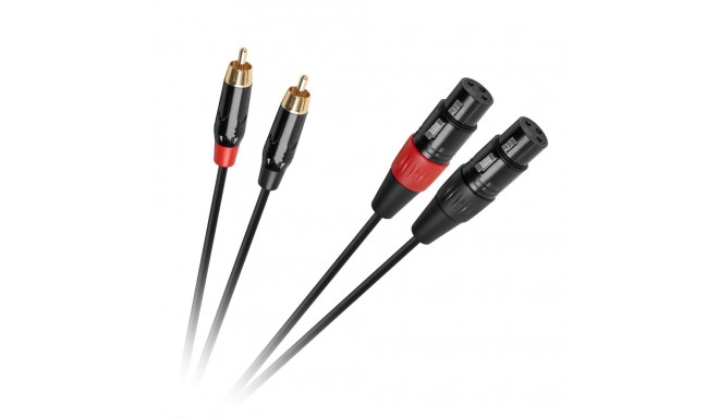 Cabletech XLR - 2RCA 1 m ühenduskaabel