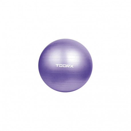 Toorx Gym Ball AHF-013 75 cm with pump