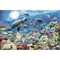 Ravensburger pusle 5000 tk  Veealune maailm