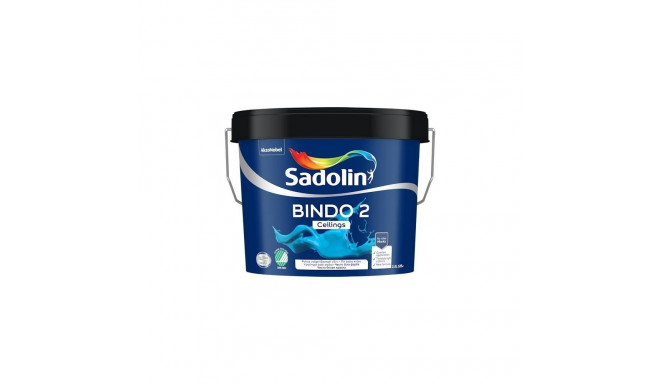 PAINT BINDO 2 BW 2.5L