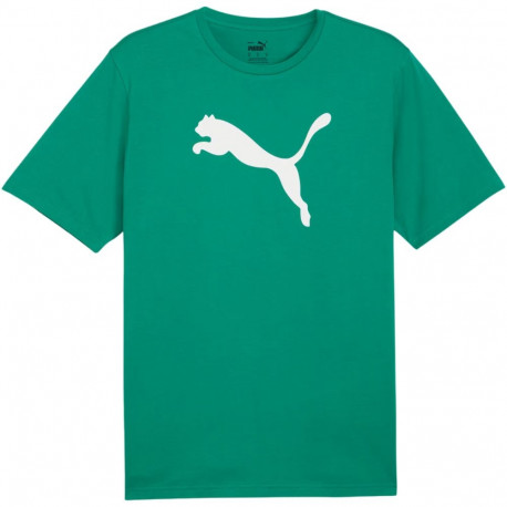 Puma meeste t-särk Team Rise Logo Jersey Cotton 658705 05 M, roheline