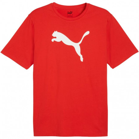 Puma meeste puuvillane särk Team Rise Logo Jersey 658705 01 M, punane