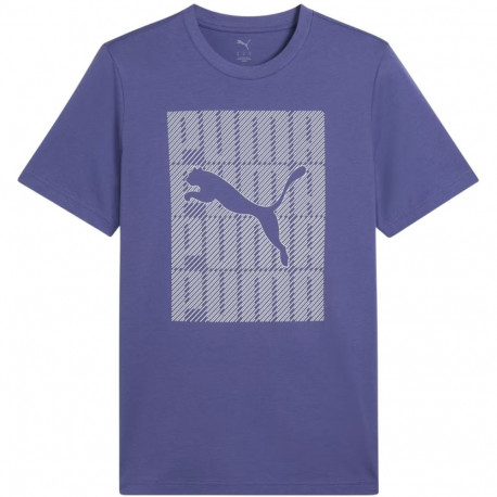 Puma meeste t-särk Graphics Wording Tee 684825 46 M, sinine
