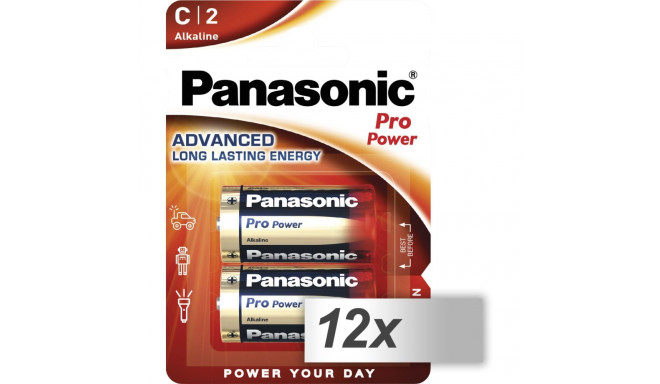 12x2 Panasonic Pro Power LR 14 Baby sisemine karp