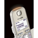 Panasonic KX-TGE262GN šampanja