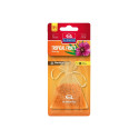 FRESH BAG Tropical fruits