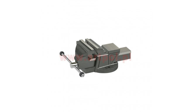 Fixed cast iron vise 125mm/AR