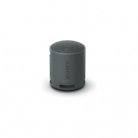 Sony SRS-XB100 Black