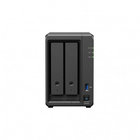 "Synology Backup-System DP320 2bay"