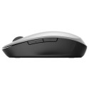 HP Wireless Mouse Dual Mode 6CR72AA silver