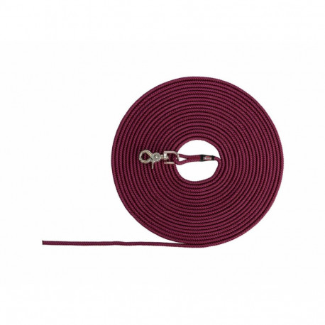 Tracking leash Trixie Red