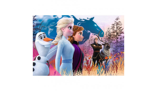 pusle - 24 maxi - maagiline seiklus - Lumekuninganna II - Trefl 14298