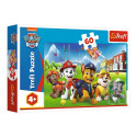 Puzzle - 60 - Paw Patrol na polanie - Viacom PAW Patrol - 17375