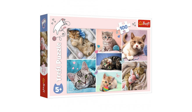 Puzzle - 100 - W kocim świecie - Trefl 16420