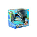 Gra Crazy Shark Rekin Rybki Karty Szalony Rekin