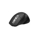 Tracer Ofis X Black