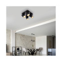 CEILING LIGHT TUNIS 4XGU10 ML9941 B/GOLD