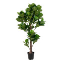 Kuntspuu Fiddle Leaf Tree H190 cm