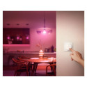 Philips Hue Tap dial switch, white