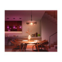 Philips Hue LED smart lamp, White and color ambiance, E27, 1600 lm
