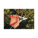 Secateurs FELCO 6