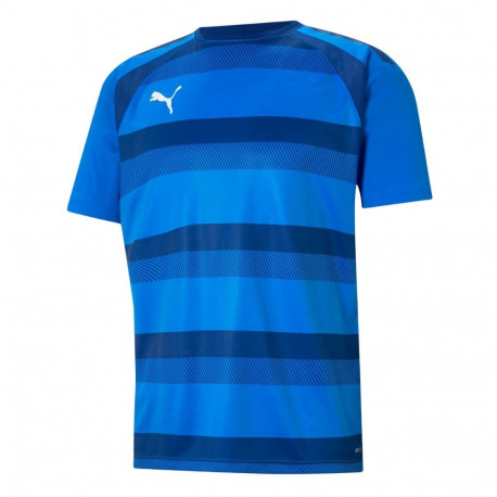 Puma meeste särk teamVISION Jersey 704921 02 S, sinine