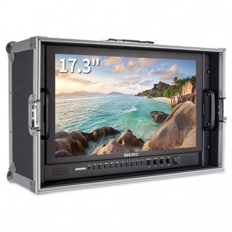 SEETEC 17.3" 1920Ã1080 Pro Broadcast LCD Monitor with 3G SDI HDMI AV (suitcase)