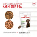 ROYAL CANIN Supplements Dog Digestion Adult - dog vitamins - 160g