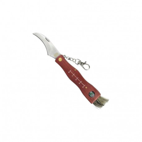 SCK Mushrooms CC-GC105 Mushroom Maker's knife with compass Brown