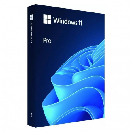 Microsoft Windows 11 Pro HAV-00163, USB Flash drive, Full Packaged Product (FPP), 64-bit, English