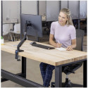 Fellowes Platinum Series Single Monitor Arm black