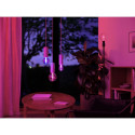 Philips Hue Lightguide Globe smart bulb, E27, G95