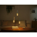 Philips Hue Lightguide Globe smart bulb, E27, G95