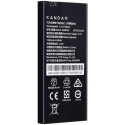 Kandao QooCam EGO Battery