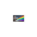 "PHILIPS B-Line 55BFL2214 18/7/UHD/350cd DVB-C/T2 (Speditionsversand)"